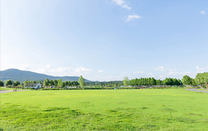 南京企业团建该选择怎样的内容,南京企业团建场地怎么选择